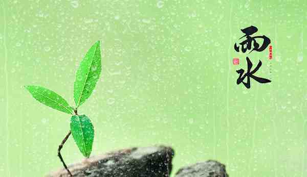 2021年雨水节气可以结婚吗-雨水节气结婚好吗-第1张图片