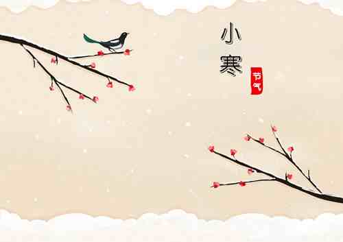 小寒有什么植物开花了-小寒会开什么花-第2张图片