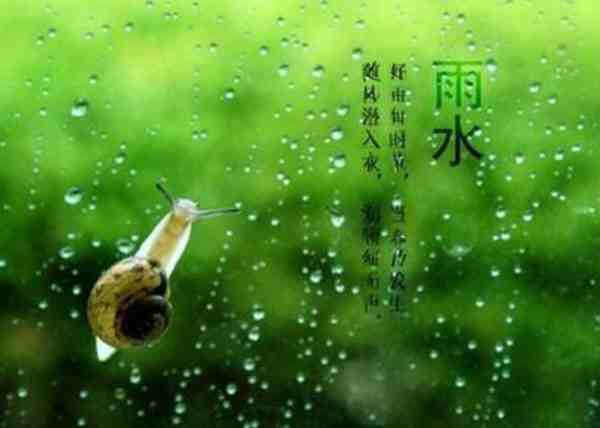 雨水节气可以种菜了吗-雨水节气可以种什么菜-第1张图片