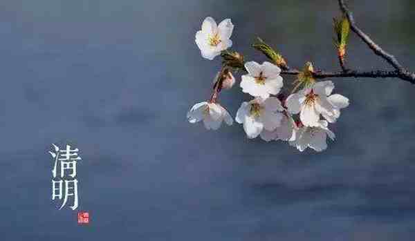 清明节气和节日的区别-清明节气和节日的特点-第2张图片