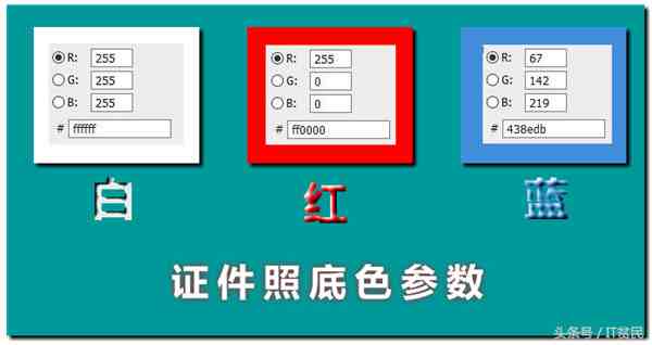 一寸照片尺寸（证件照的具体尺寸和颜色你知道吗？）-第2张图片