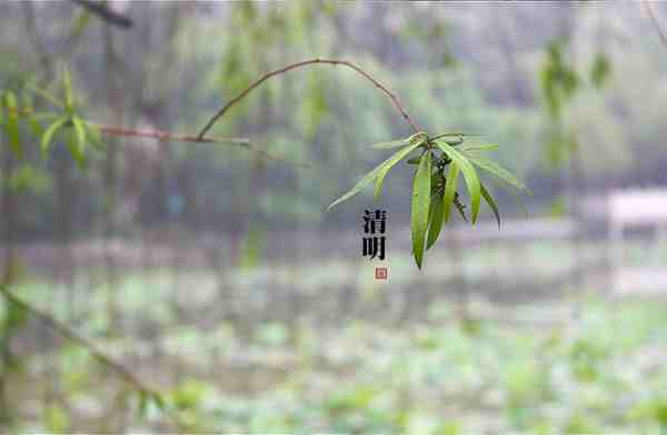 清明节气和清明节是同一天吗-清明节气和清明节有什么关系-第2张图片