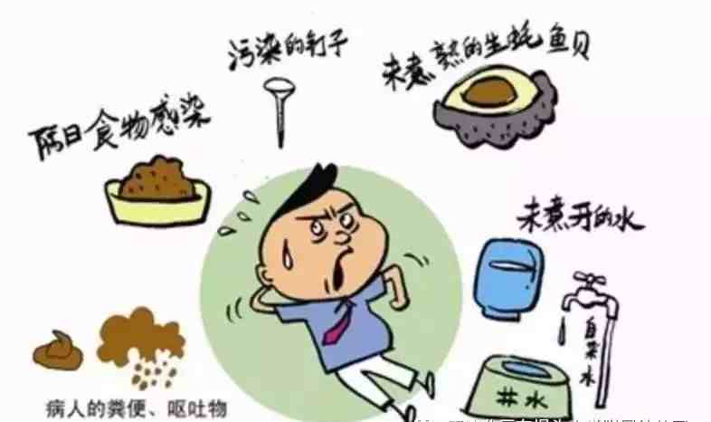黑龙江16名学生感染诺如病毒-为什么会感染诺如病毒-第3张图片