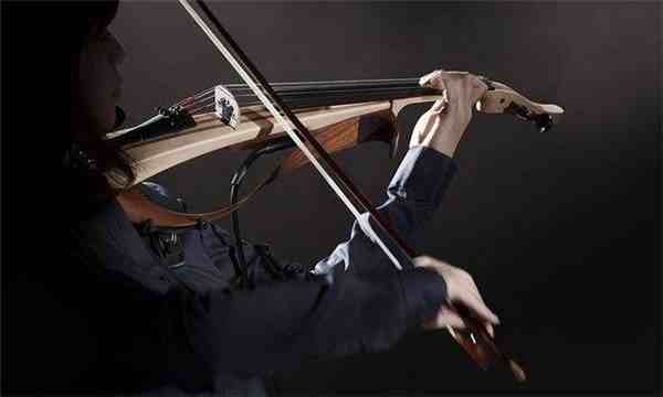 小提琴有多少根弦（小提琴的类型有哪些）-第2张图片