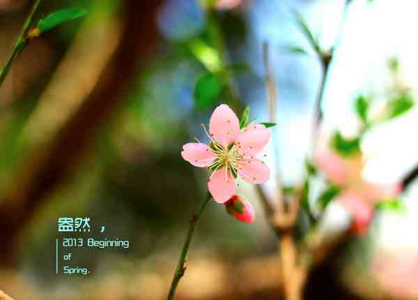 立春节气养生特点-立春节气养生保健知识-第1张图片