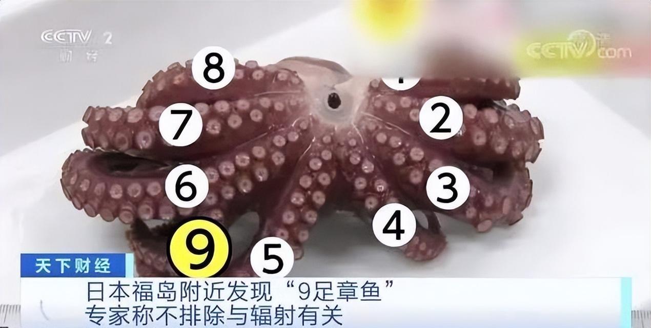 数百万吨核污水将排入大海?日本无视其他国家的抗议,表示被迫无助-第6张图片 数百万吨核污水将排入大海?日本无视其他国家的抗议,表示被迫无助-第6张图片
