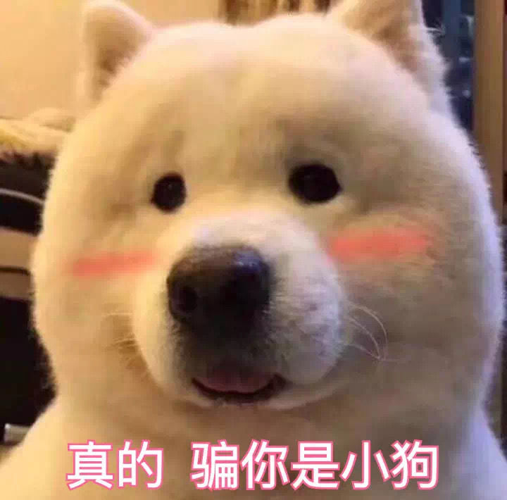 益生菌除了与肠道有关系,还与身体哪些部位有关系?-第1张图片 益生菌除了与肠道有关系,还与身体哪些部位有关系?-第1张图片