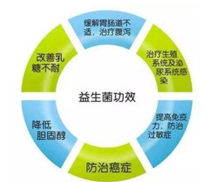 益生菌除了与肠道有关系,还与身体哪些部位有关系?-第12张图片 益生菌除了与肠道有关系,还与身体哪些部位有关系?-第12张图片