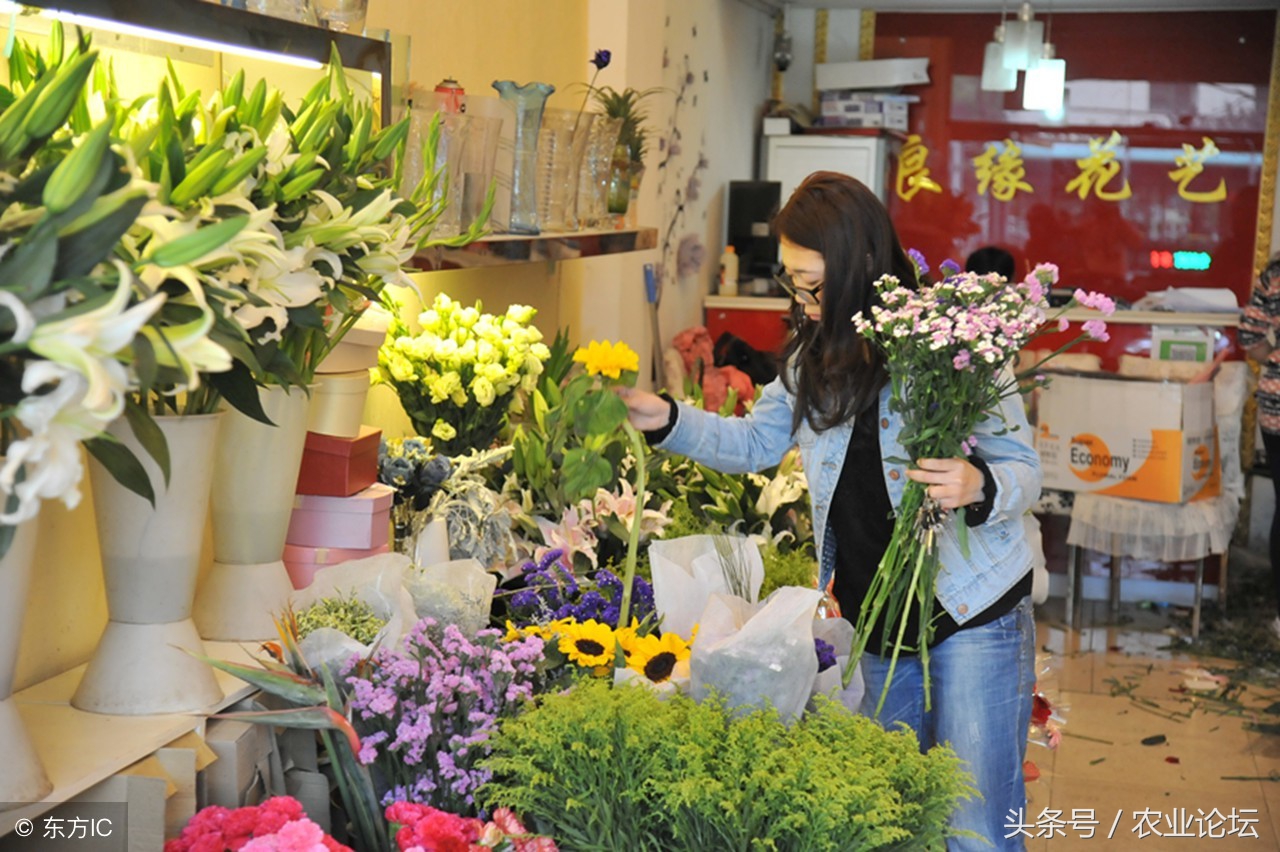 农村开花店赚钱吗（在农村开花店赚钱吗）-第1张图片