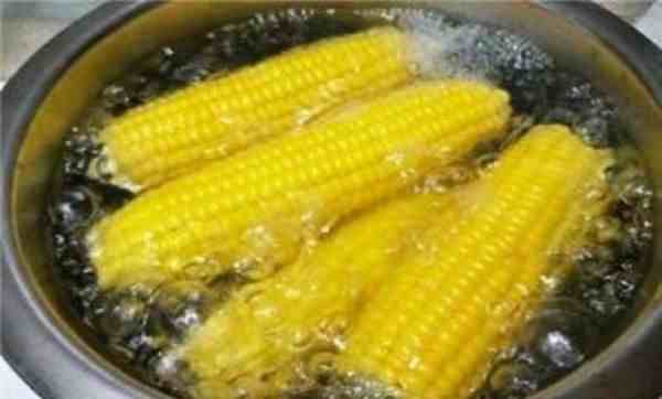 煮玉米需要多长时间（玉米怎么煮）-第1张图片