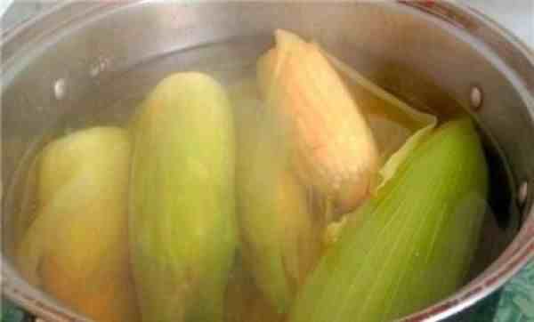 煮玉米需要多长时间（玉米怎么煮）-第2张图片