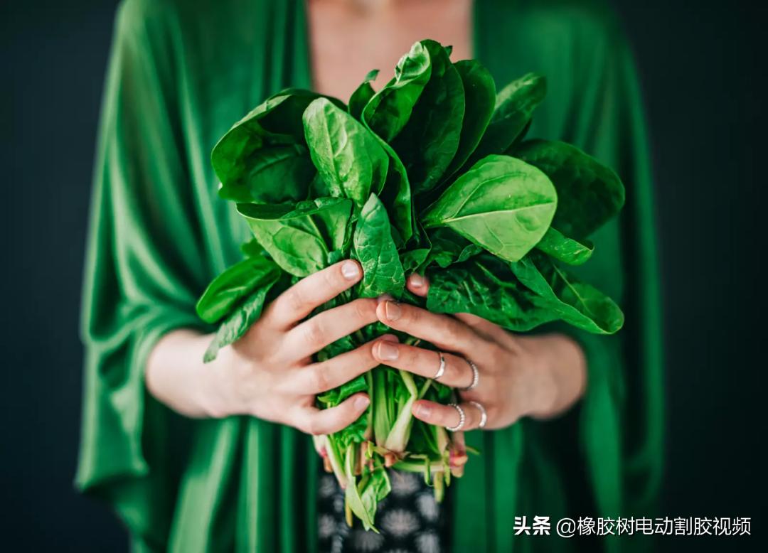 加什么东西让头发猛长（能帮助头发快速生长的12种食物）-第4张图片