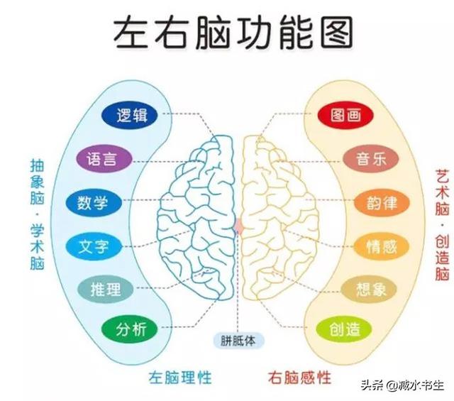 曼德拉效应记忆被篡改真相揭秘（神奇曼德拉效应记忆错乱）-第5张图片