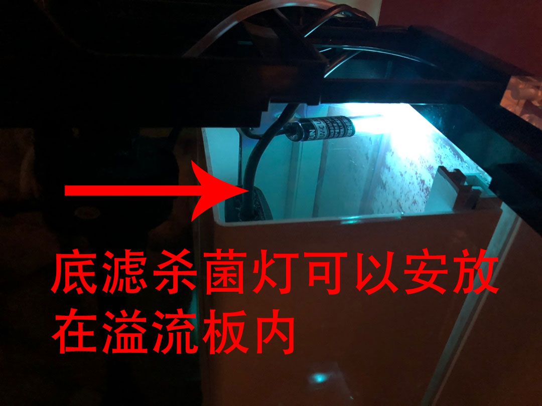 鱼缸杀菌灯正确使用方法（如何正确使用鱼缸杀菌灯）-第6张图片