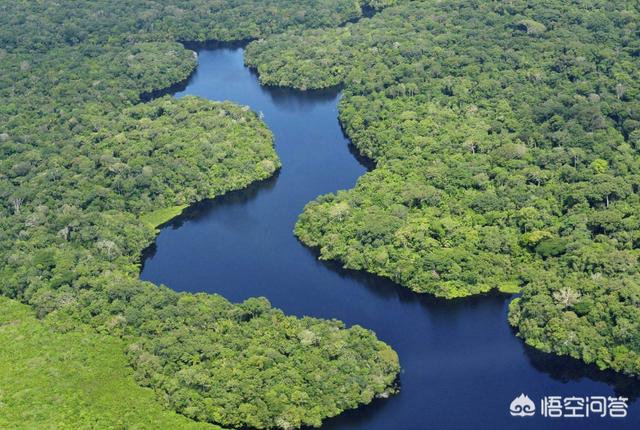 亚马逊雨林有旱季吗（什么因素促进了亚马逊的诞生）-第2张图片