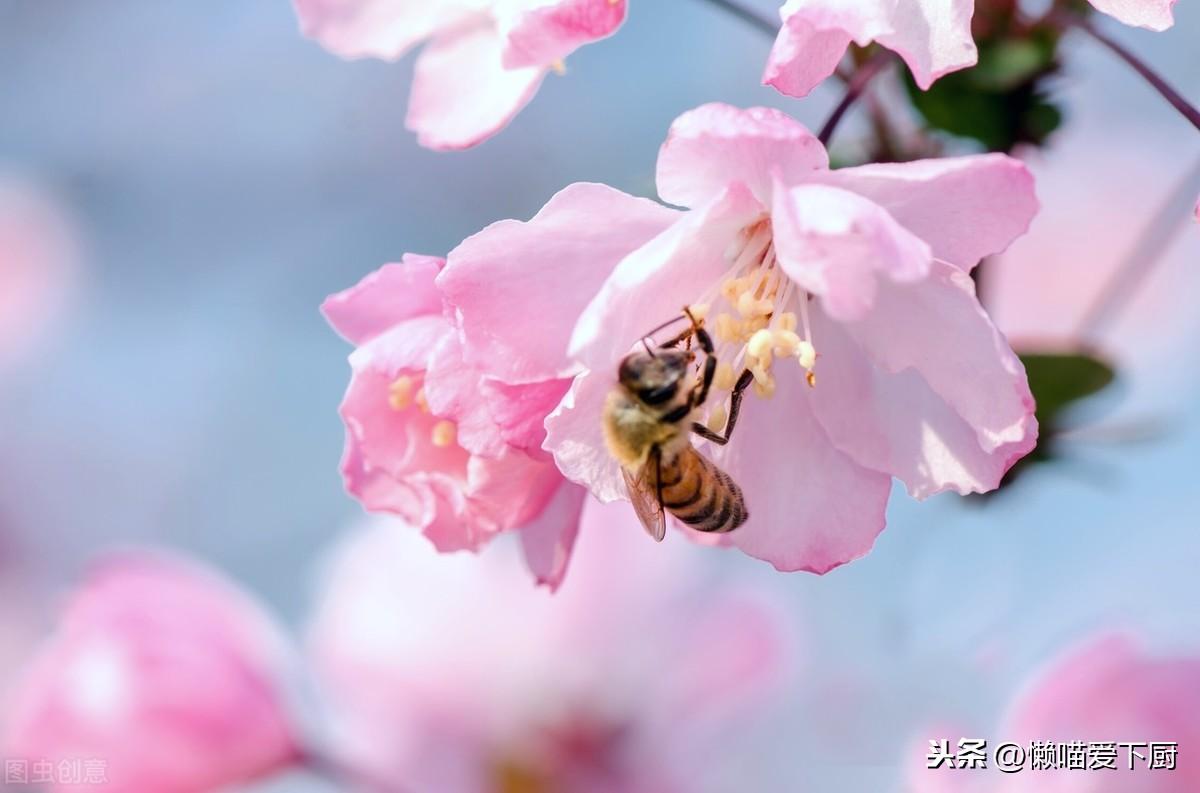 蜂蜜真假鉴定方法,一杯水就能区分真假蜂蜜了-第3张图片 蜂蜜真假鉴定方法,一杯水就能区分真假蜂蜜了-第3张图片