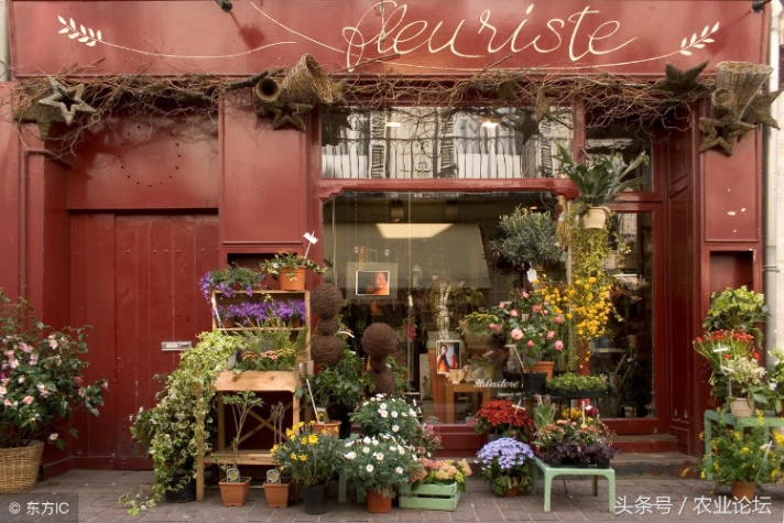 农村开花店赚钱吗（在农村开花店赚钱吗）-第2张图片