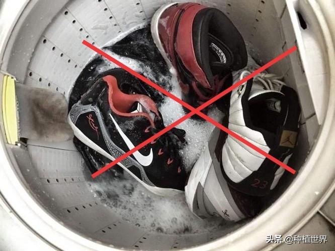 皮鞋可以用水洗吗（用水或洗衣机清洗皮鞋有什么危害）-第1张图片