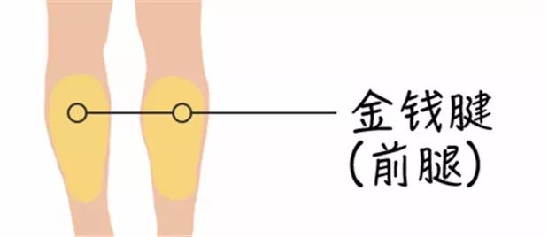 牛腩是牛身上的哪个部位图片,牛身上108个部位名称-第10张图片