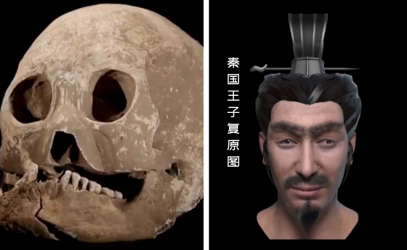 秦始皇的真实长相容貌(秦始皇真实长相复原图)-第7张图片 秦始皇的真实长相容貌(秦始皇真实长相复原图)-第7张图片