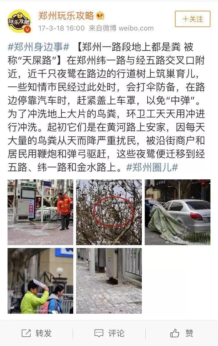 人被鸟屎砸中的概率有多大(如果被鸟屎砸中会怎么样)-第10张图片 人被鸟屎砸中的概率有多大(如果被鸟屎砸中会怎么样)-第10张图片