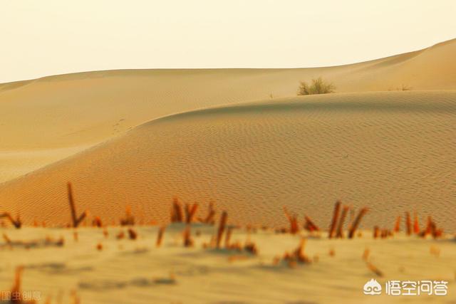 沙漠为什么能吸收大量的二氧化碳（沙漠固碳原理及作用）-第4张图片