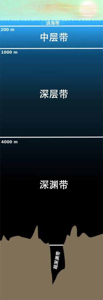 鬼鲨鱼是什么样子的？专家：鬼鲨！为何深海鱼大都很丑-第11张图片