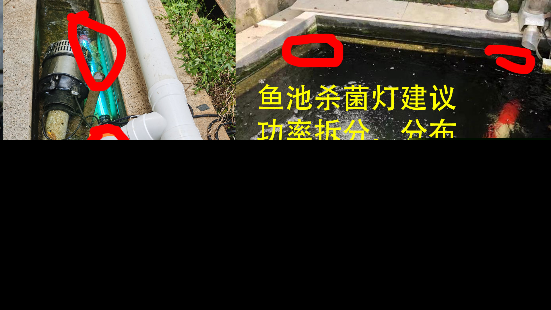 鱼缸杀菌灯正确使用方法（如何正确使用鱼缸杀菌灯）-第8张图片