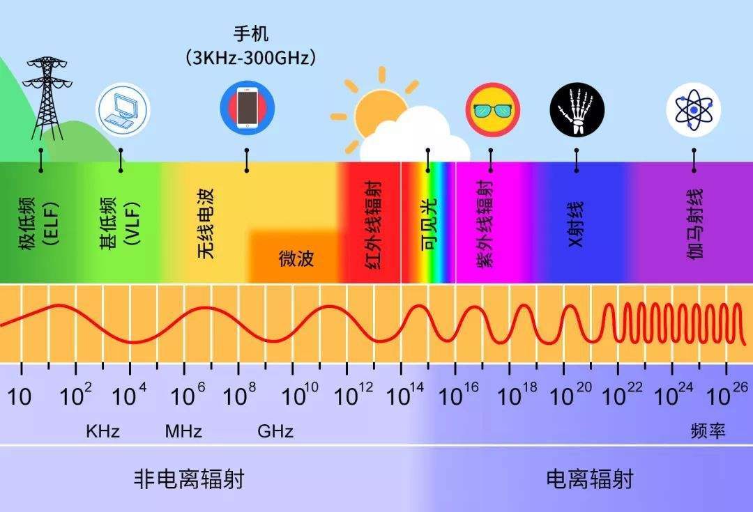 人为什么会老而不能长生不老（人类会衰老的三个原因）-第9张图片