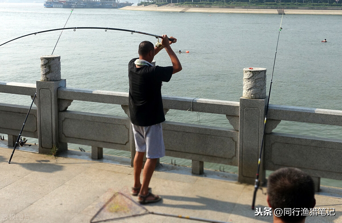 海竿怎么用有哪些技巧（钓鱼时的海竿应该如何安装）-第4张图片