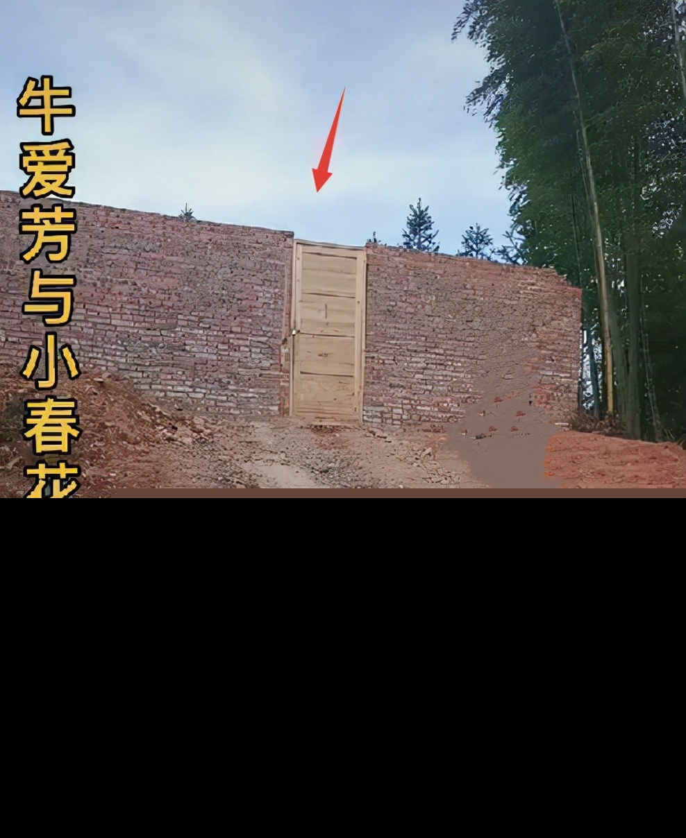 牛爱芳的小春花别墅图片（牛爱芳的小春花真实生活情况揭秘）-第2张图片