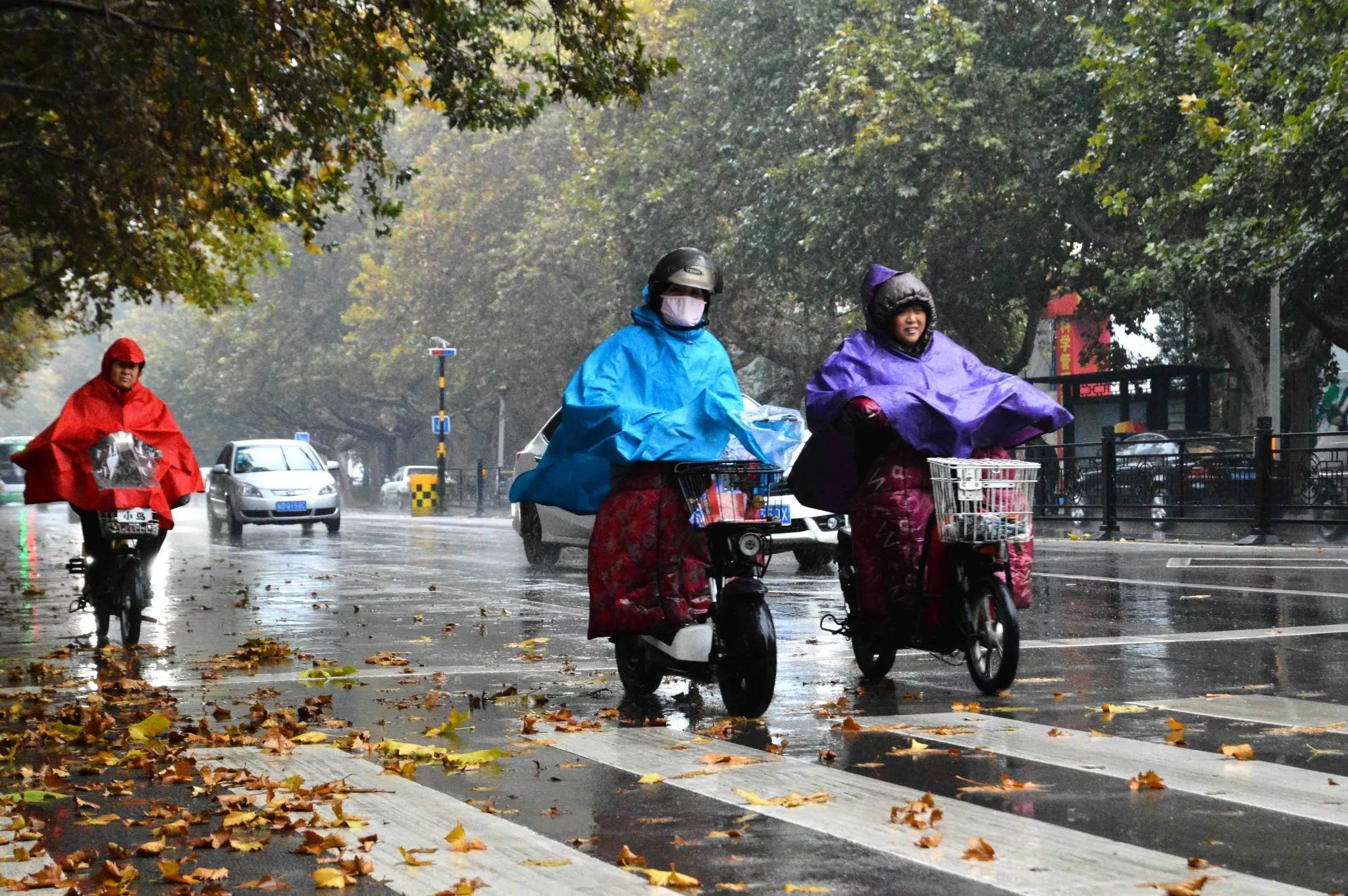 天气预报：明日21号暴雨大雨中心确认，60年一遇冷夏？看农谚咋说-第4张图片