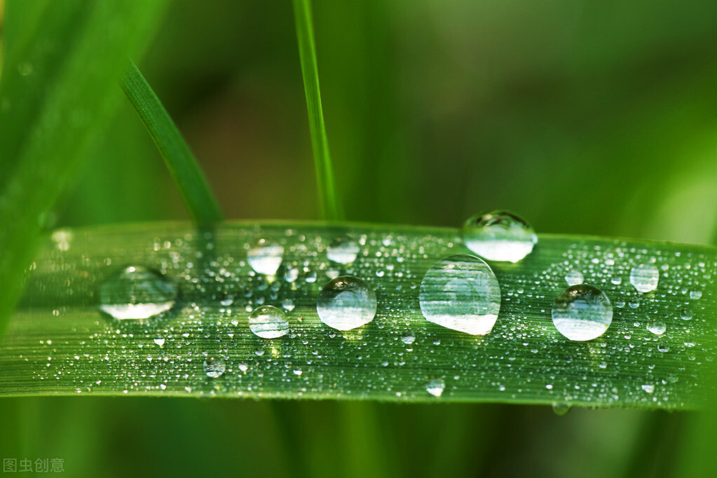 雨水节气养生原则：护肝阳，助脾运。避免湿冷、油腻、心燥-第3张图片