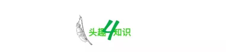 又一唐山男子犯下命案,撕下了当下一类人的病态内幕-第15张图片 又一唐山男子犯下命案,撕下了当下一类人的病态内幕-第15张图片