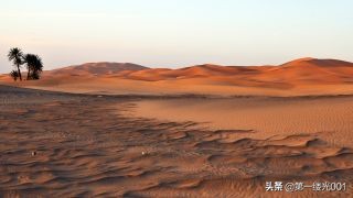 撒哈拉的沙漠的简介介绍（撒哈拉沙漠中有哪些动植物）-第1张图片