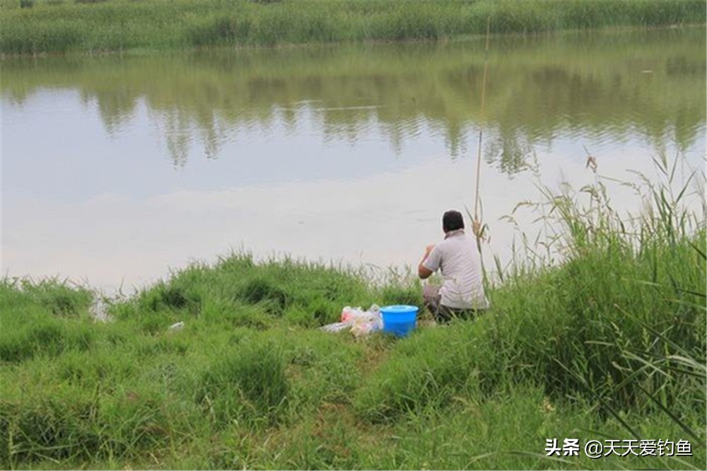 夏天夜钓深水还是浅水（钓夜鱼钓深还是浅夜钓的技巧）-第4张图片