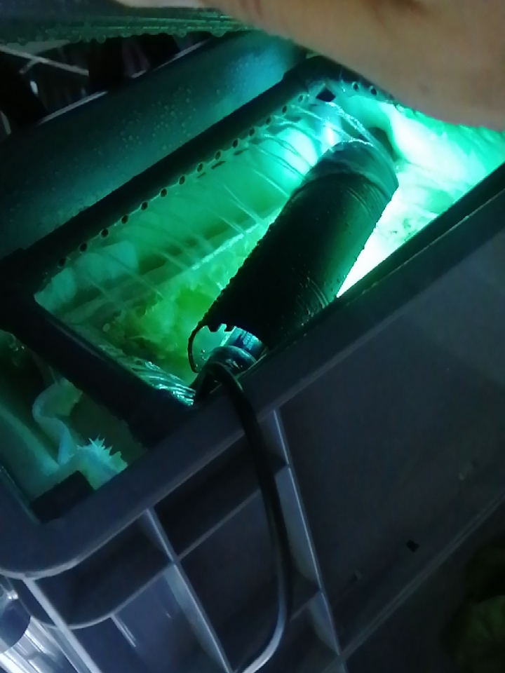 鱼缸杀菌灯正确使用方法（如何正确使用鱼缸杀菌灯）-第2张图片