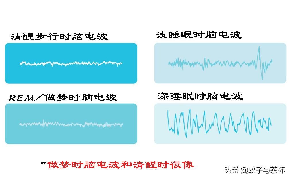 人为什么会做梦(人为什么会做梦呢答案是什么)-第7张图片 人为什么会做梦(人为什么会做梦呢答案是什么)-第7张图片