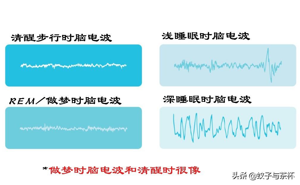 人为什么会做梦(人为什么会做梦呢答案是什么)-第7张图片