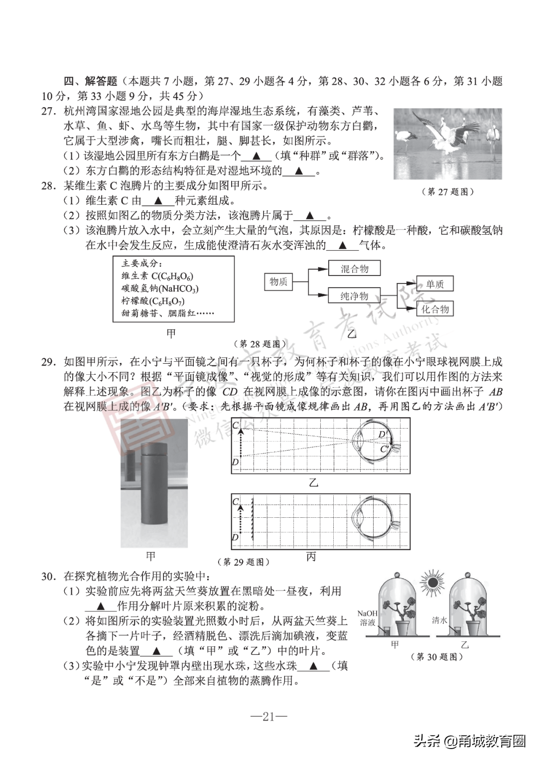 活板（《活板》知识点及对阅读）-第47张图片