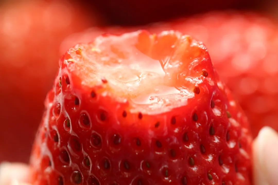 丹东草莓几月份最好吃（丹东的草莓哪个季节最甜最便宜）-第6张图片