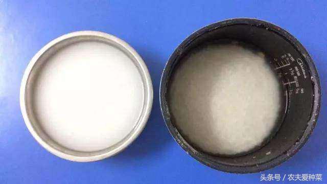 黄豆水臭味怎么去除(黄豆水除臭方法)-第1张图片 黄豆水臭味怎么去除(黄豆水除臭方法)-第1张图片