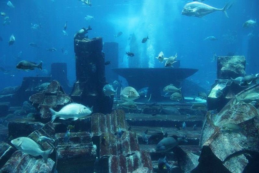 亚特兰蒂斯真的存在吗（海底两万里的亚特兰蒂斯是真的吗）-第11张图片