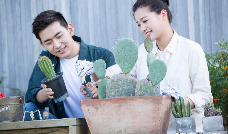 对象吃醋了怎么哄语录（女朋友吃醋生气了怎么办）-第2张图片