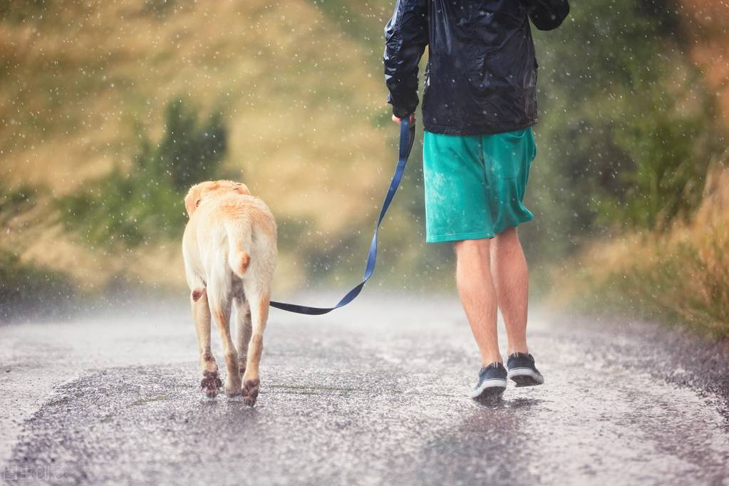 衣服淋雨需要重洗么（下雨淋过的衣服还能直接穿吗）-第2张图片
