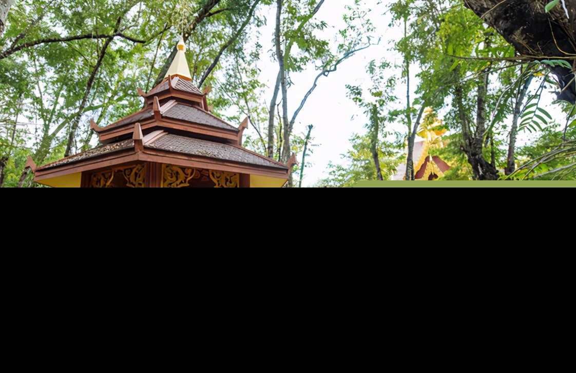 西双版纳十大旅游景点（推荐西双版纳有什么好玩的地方）-第5张图片