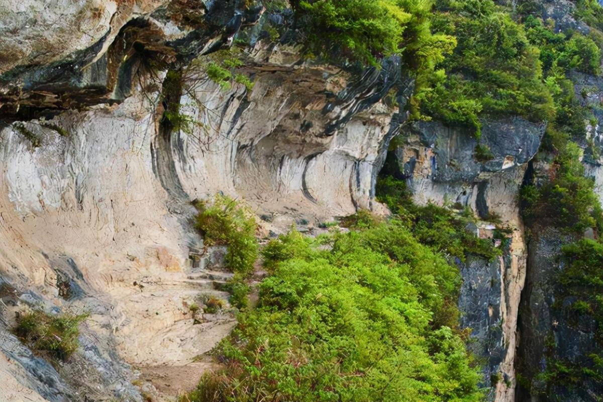 重庆最高的山是哪一座山（重庆最高的山峰位于哪里）-第3张图片