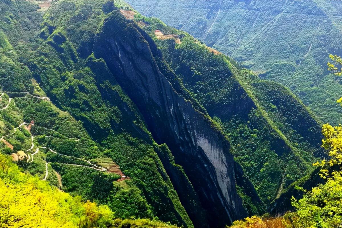 重庆最高的山是哪一座山（重庆最高的山峰位于哪里）-第4张图片