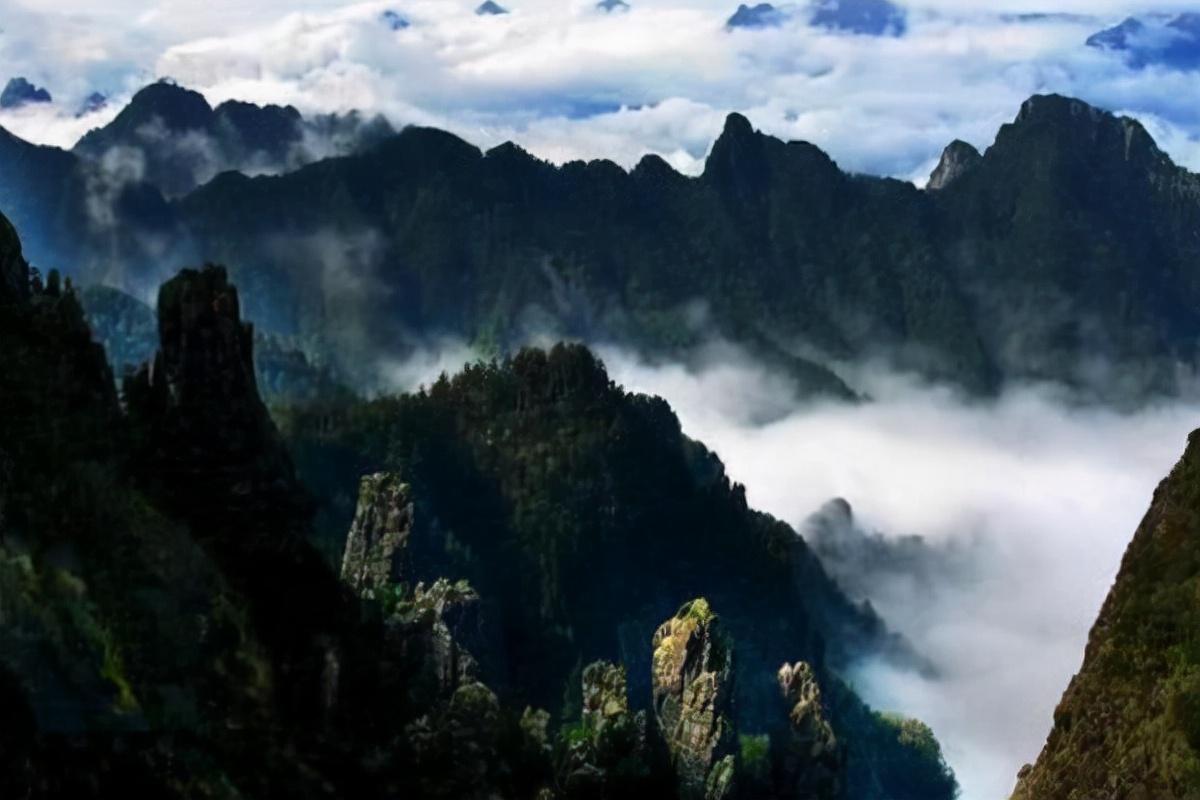 重庆最高的山是哪一座山（重庆最高的山峰位于哪里）-第6张图片