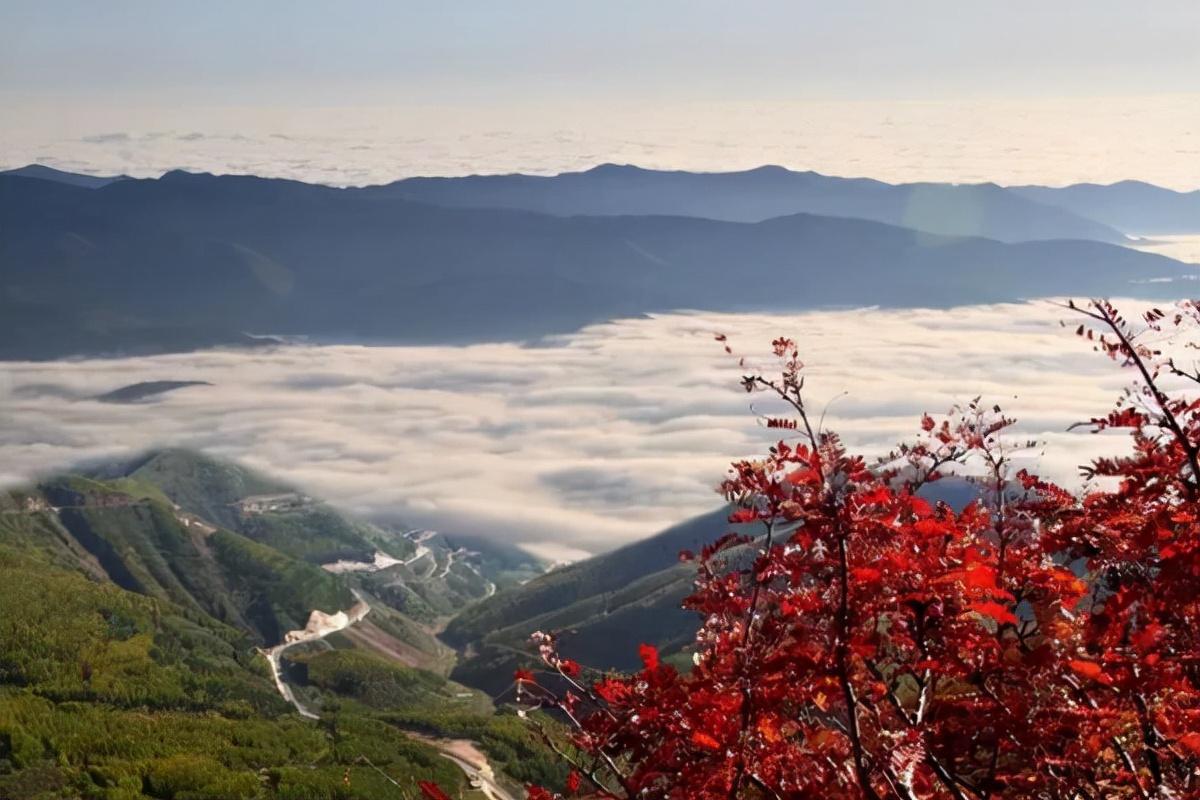 重庆最高的山是哪一座山（重庆最高的山峰位于哪里）-第8张图片